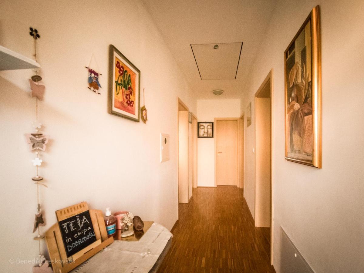 Panorama Glamping Visole Hotel Slovenska Bistrica Luaran gambar