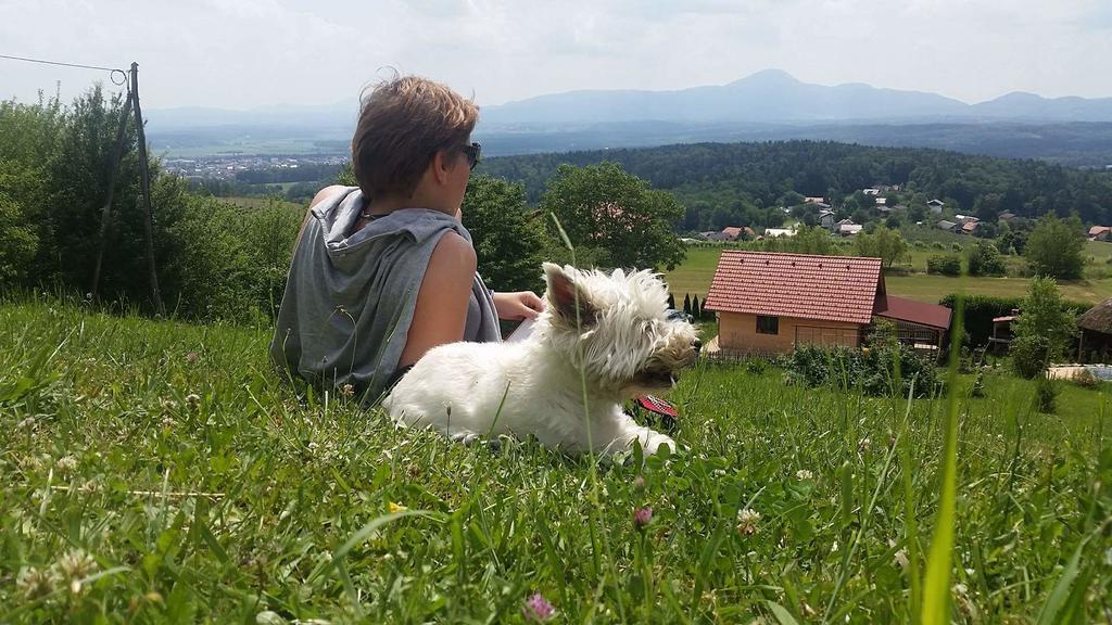 Panorama Glamping Visole Hotel Slovenska Bistrica Luaran gambar